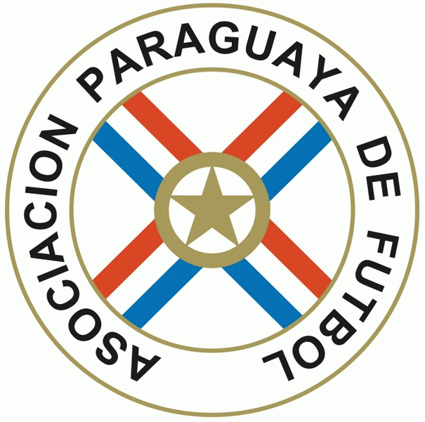 Paraguay 0-2013 Primary Logo t shirt iron on transfers